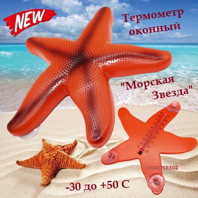 Термометр уличный оконный "Морская звезда"